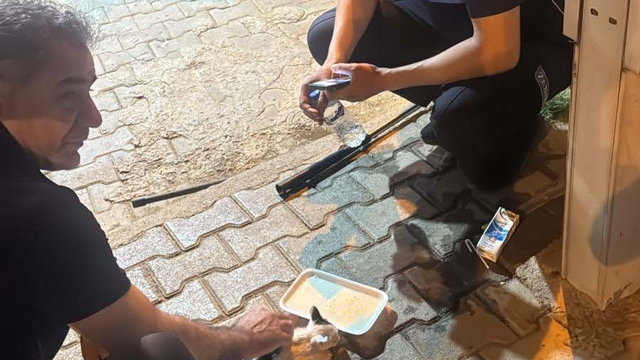 Reklam panosunda mahsur kalan yavru kediyi zabıta ekipleri kurtardı