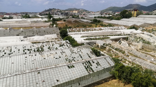 Antalya'da dolu ve hortumun vurduğu tarım alanlarında yaralar sarılmaya çalışılıyor