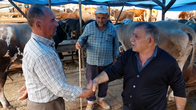 Trabzon'da kurbanlıkların yarısı alıcı buldu