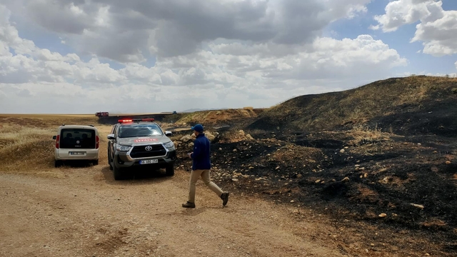 Siirt'in Kurtalan ilçesinde çıkan yangında buğday ekili alan zarar gördü