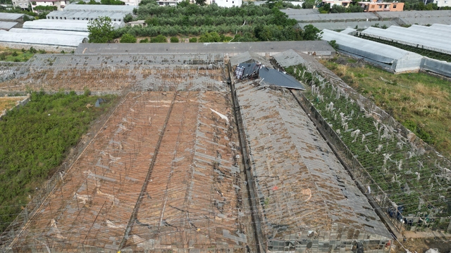 Galeri