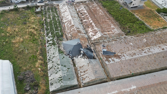 Galeri