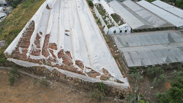 Galeri