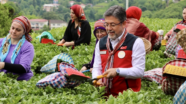 Tarım ve Orman Bakanı Yumaklı, Rize'de çay hasadına katıldı: