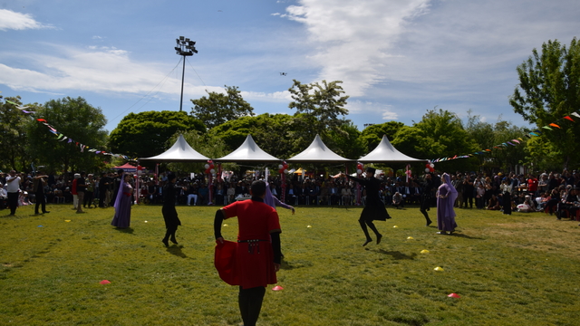 12'nci 'Uluslararası İnci Kefali Göçü Kültür ve Sanat Festivali' başladı