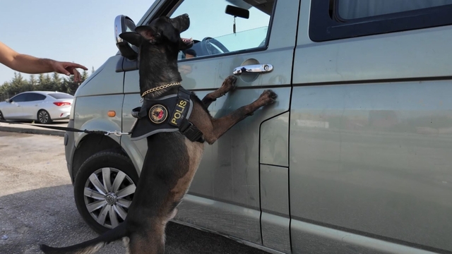 Dronla tespit edilen araçtan 38 bin 464 adet sentetik ecza hap çıktı