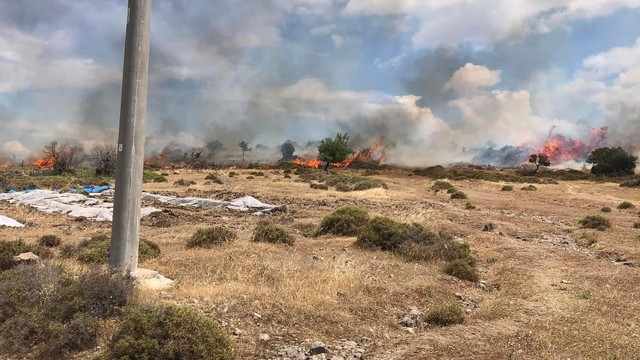 Çanakkale'de otluk alanda çıkan yangın söndürüldü