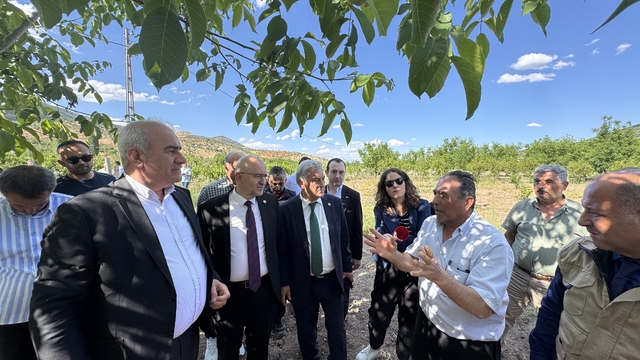 TBMM Zirai Don Olayını Araştırma Komisyonu üyeleri, Adıyaman'daki bahçelerde incelemelerde bulundu