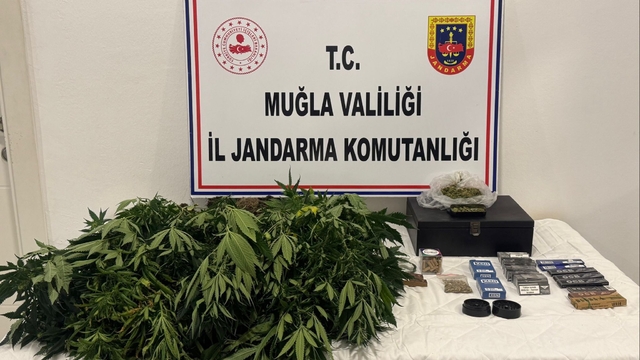 Muğla'da evde uyuşturucu madde yetiştirdiği iddiasıyla 2 zanlı gözaltına alındı