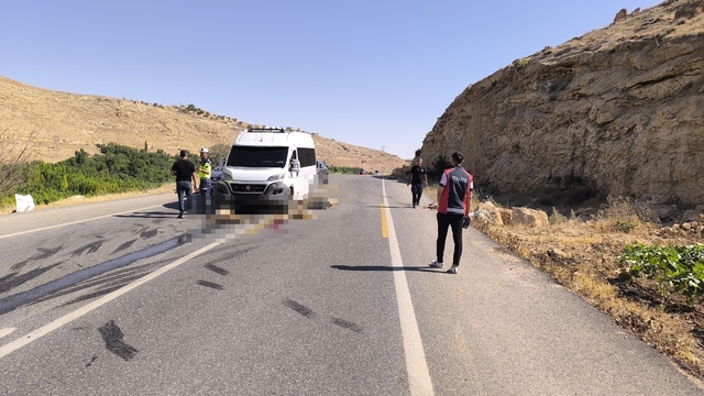 Minibüs, sürüye daldı; 13 küçükbaş öldü