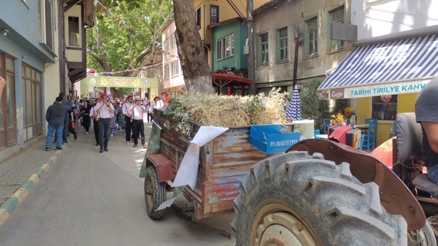 Tirilye'de "Zeytin Çiçeği Festivali" başladı