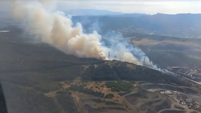 İzmir'de orman yangını