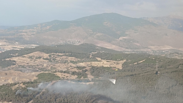 İzmir'in Aliağa ilçesinde ormanlık alanda çıkan yangına müdahale ediliyor