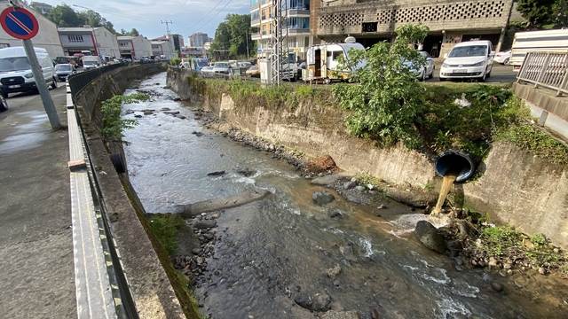Galeri