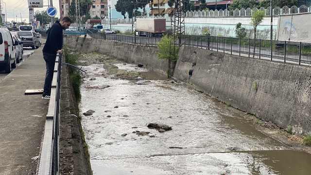 Rize'de derede balık ölümlerine inceleme