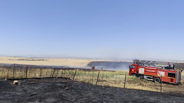 Diyarbakır'da çıkan yangında yaklaşık 1000 dekar buğday ve arpa ekili alan zarar gördü