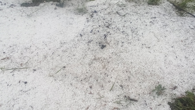 Tokat'ta dolu yağışı etkili oldu