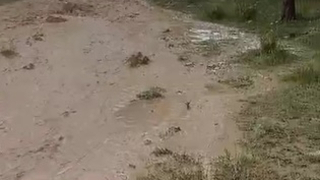 Kırşehir'de sağanak sele neden oldu; tarım arazileri zarar gördü