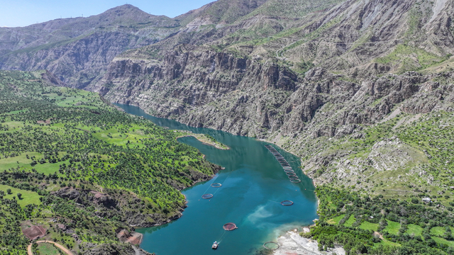 Diyarbakır'da 53 ülkeye ihraç için Türk somonu yetiştiriliyor
