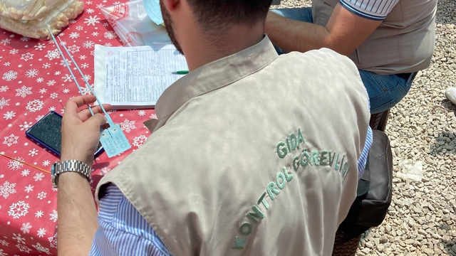 Edirne'den kısa kısa