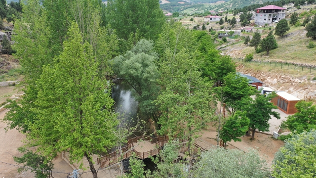 Galeri