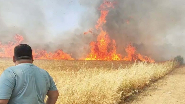Manisa'da buğday tarlasında yangın
