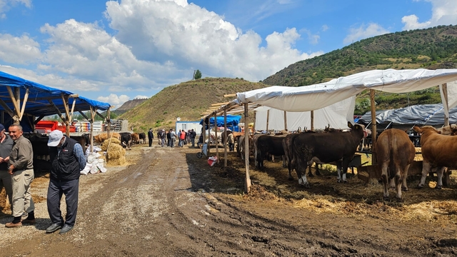 Bayat ilçesinde kurban pazarında hareketlilik sürüyor