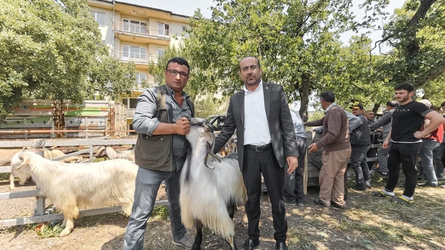 Bursa'da Kurban Bayramı öncesi hayvan pazarında inceleme yapıldı