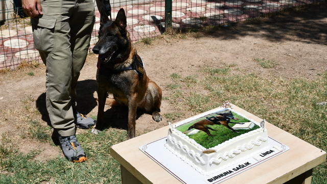 Batman'da görev yapan hassas burun "Linda" emekli oldu