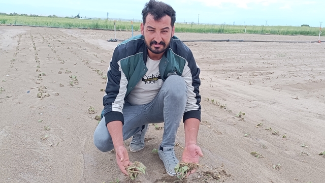 Kayseri'de sağanak ve dolu nedeniyle tarım arazileri zarar gördü