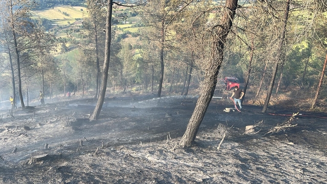 Balıkesir'de çıkan orman yangınına müdahale ediliyor