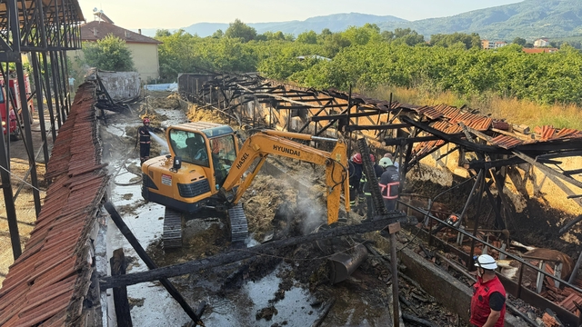Sakarya'da ahırda çıkan yangında 16 büyükbaş hayvan telef oldu