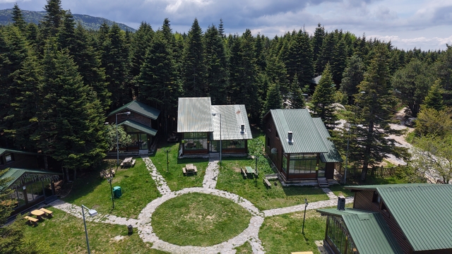 Yeşile bürünen 'beyaz cennet' yaza hazır; orman köşkleri ve barakalara ilgi yoğun