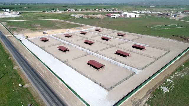 Muş'ta Hayvan Barınağı ve Doğal Yaşam Alanı inşaatında son aşamaya gelindi