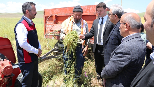 Burdur'da kuraklığa dayanıklı yem bitkisinin hasadı yapıldı