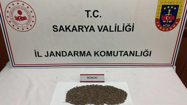 Anadolu Otoyolu'nda uyuşturucu bulunan araçtaki şüpheli tutuklandı