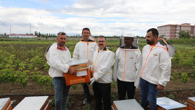 Iğdır'da bal üreticilerine 200 kovan dağıtıldı