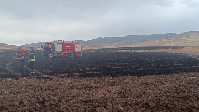 Siirt'te yıldırım düşmesi nedeniyle yangın çıkan arazideki mahsul zarar gördü
