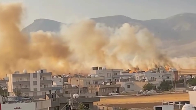 Mardin'de 350 dönüm buğday ekili alan yandı