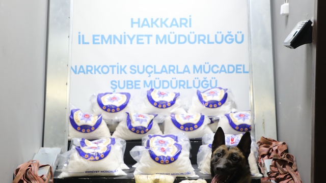 Hakkari'de tırın dorsesinde 66 kilo 120 gram sentetik uyuşturucu ele geçirildi