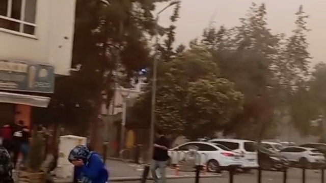 Mardin'de 350 dönüm buğday ekili alan yandı (2)