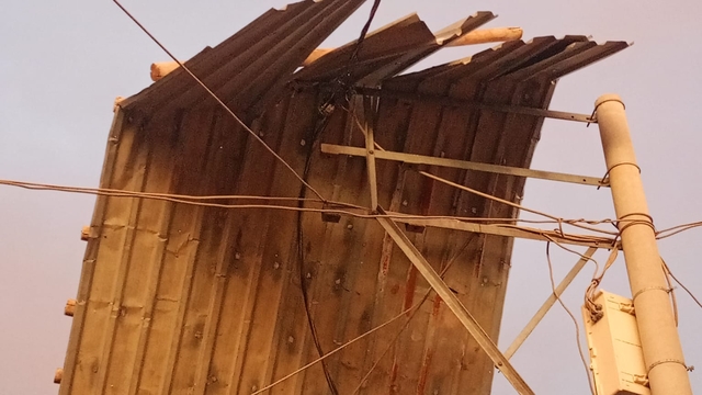 Mardin'de kuvvetli rüzgar etkili oldu