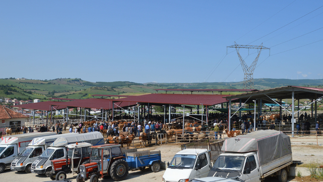 Havza Belediyesi Kurban Bayramı dolayısıyla bir dizi tedbir aldı