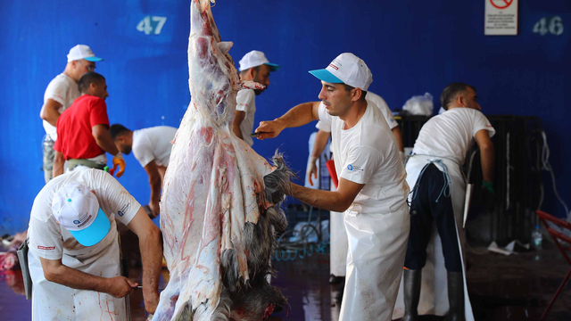 Sokakta kurban kesip, atıklarını gömene 23 bin 532 lira ceza