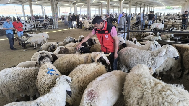 Şanlıurfa'da hayvan pazarında denetim yapıldı