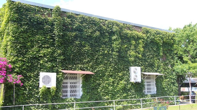 Galeri
