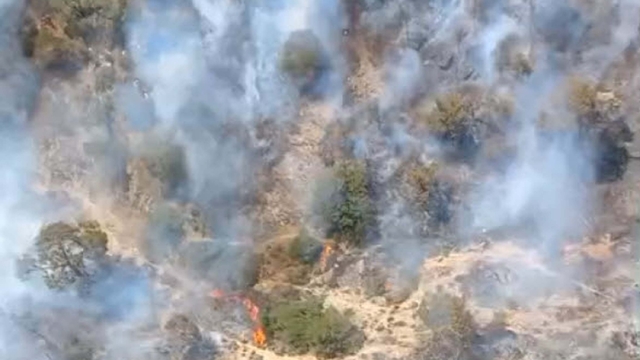 İzmir'de maki yangını 1 saatte kontrol altına alındı