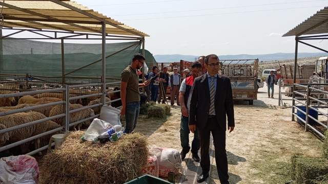 Beypazarı Kaymakamı Yılmaz, hayvan pazarını inceledi