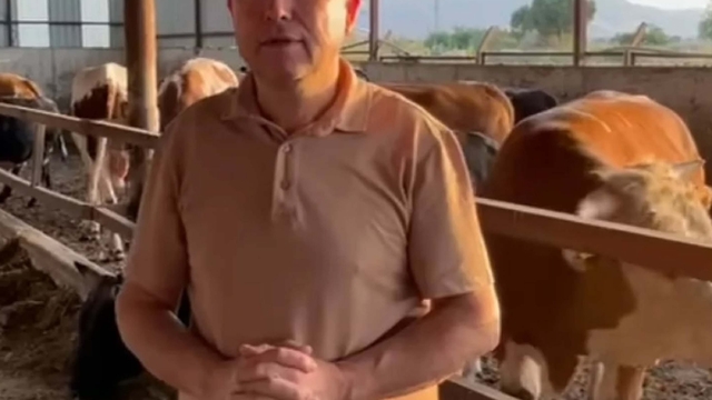 Dananın saldırısına uğrayan iş insanı, 3 gün sonra öldü