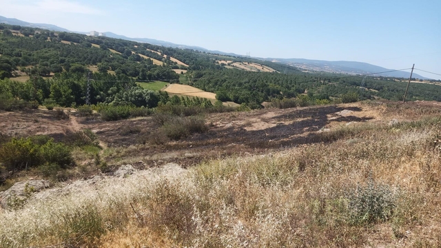 Çan'da elektrik tellerine çarpan karga yangına neden oldu